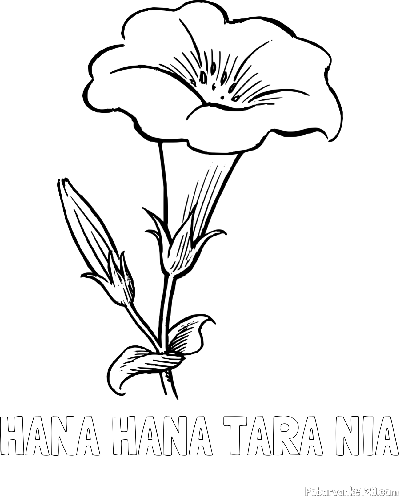 The Risk of Overproduction: When Every Debut Feels Like a Blockbuster