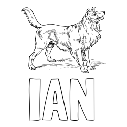 Online izdelana pobarvanka - Pobarvanka imena IAN in pobarvanka prikupnega in prijaznega kužka