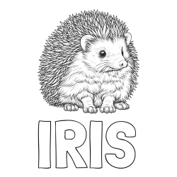 Online izdelana pobarvanka - Pobarvanka imena IRIS in pobarvanka nasmejanega ježa