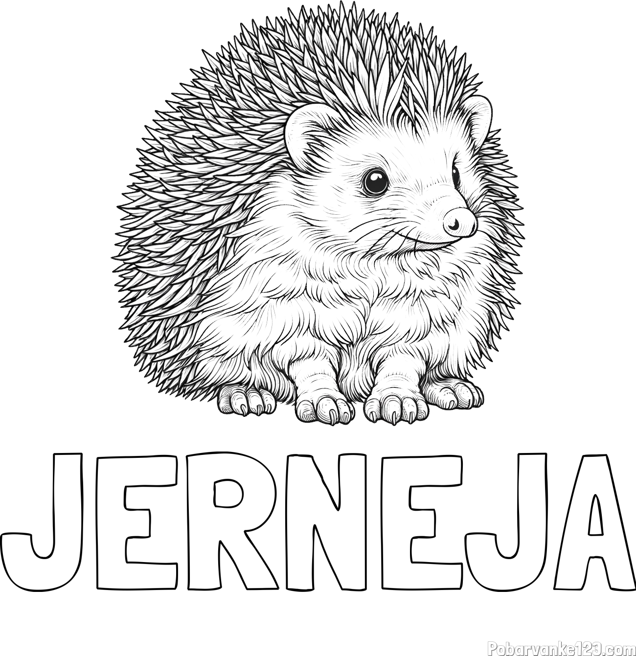 Pobarvanka imena JERNEJA in pobarvanka nasmejanega ježa