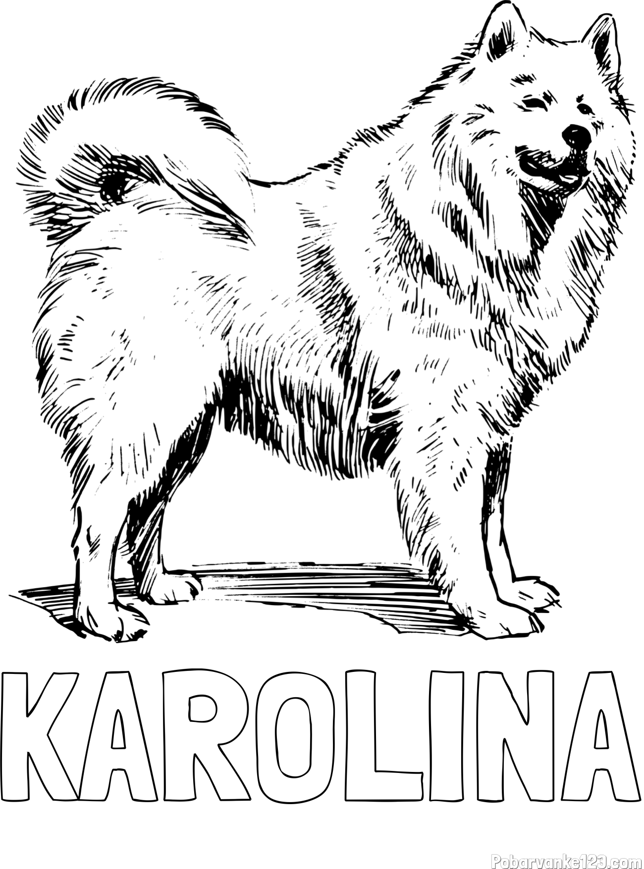 Pobarvanka imena KAROLINA in pobarvanka čudovitega samojega