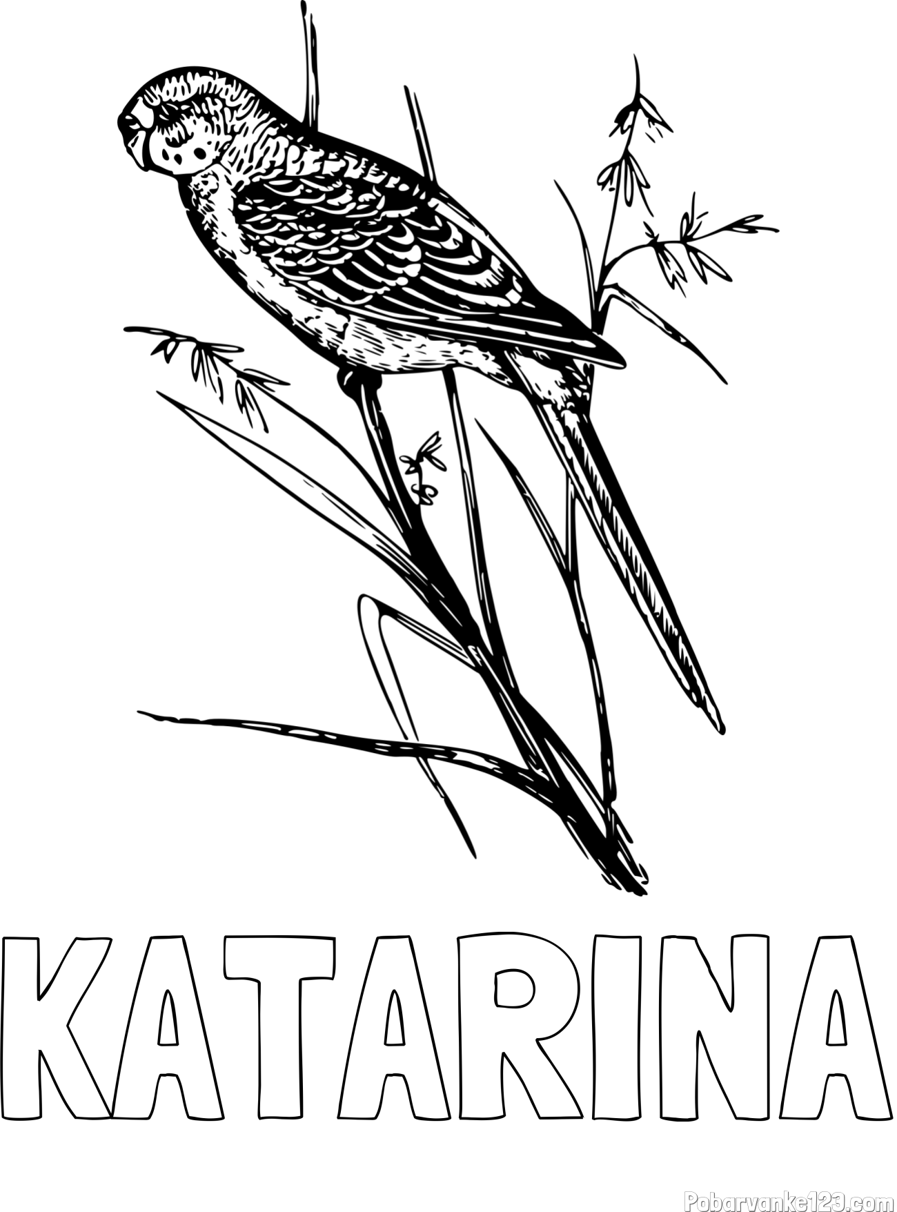 Pobarvanka imena KATARINA in pobarvanka kanarčka