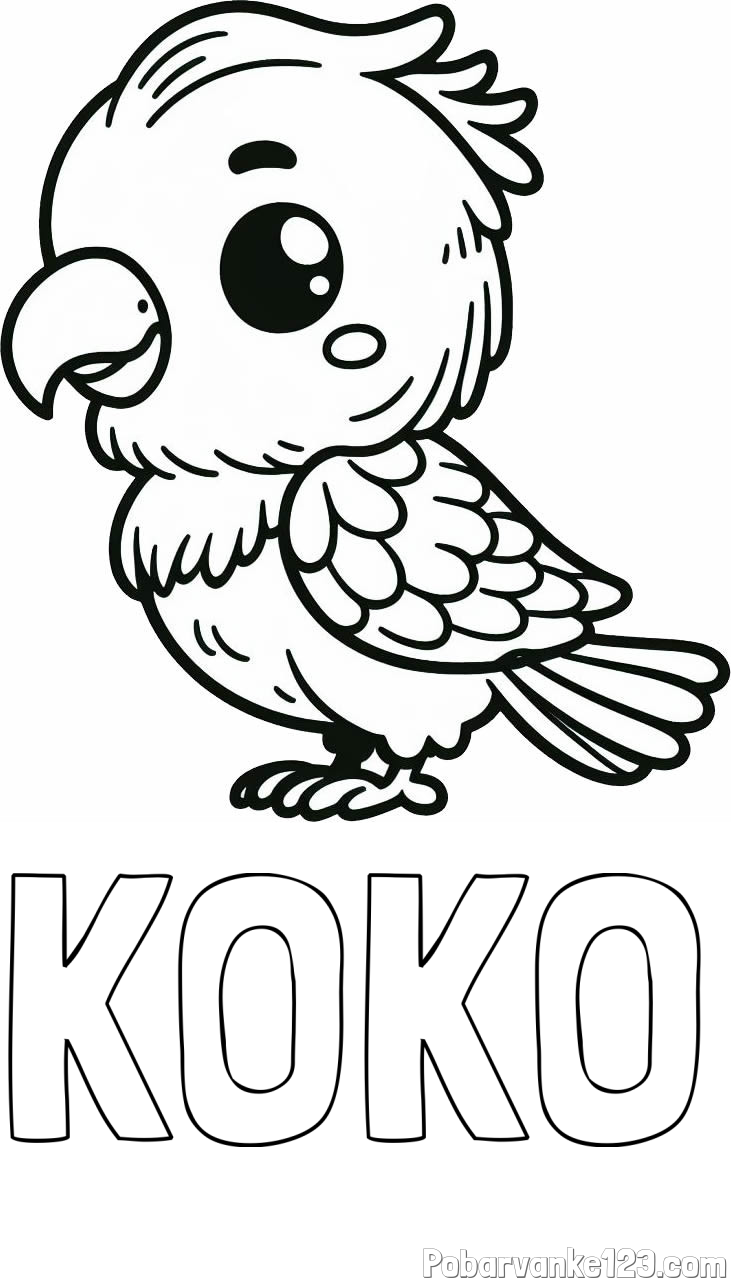 Pobarvanka imena KOKO in pobarvanka ljubkega papagaja