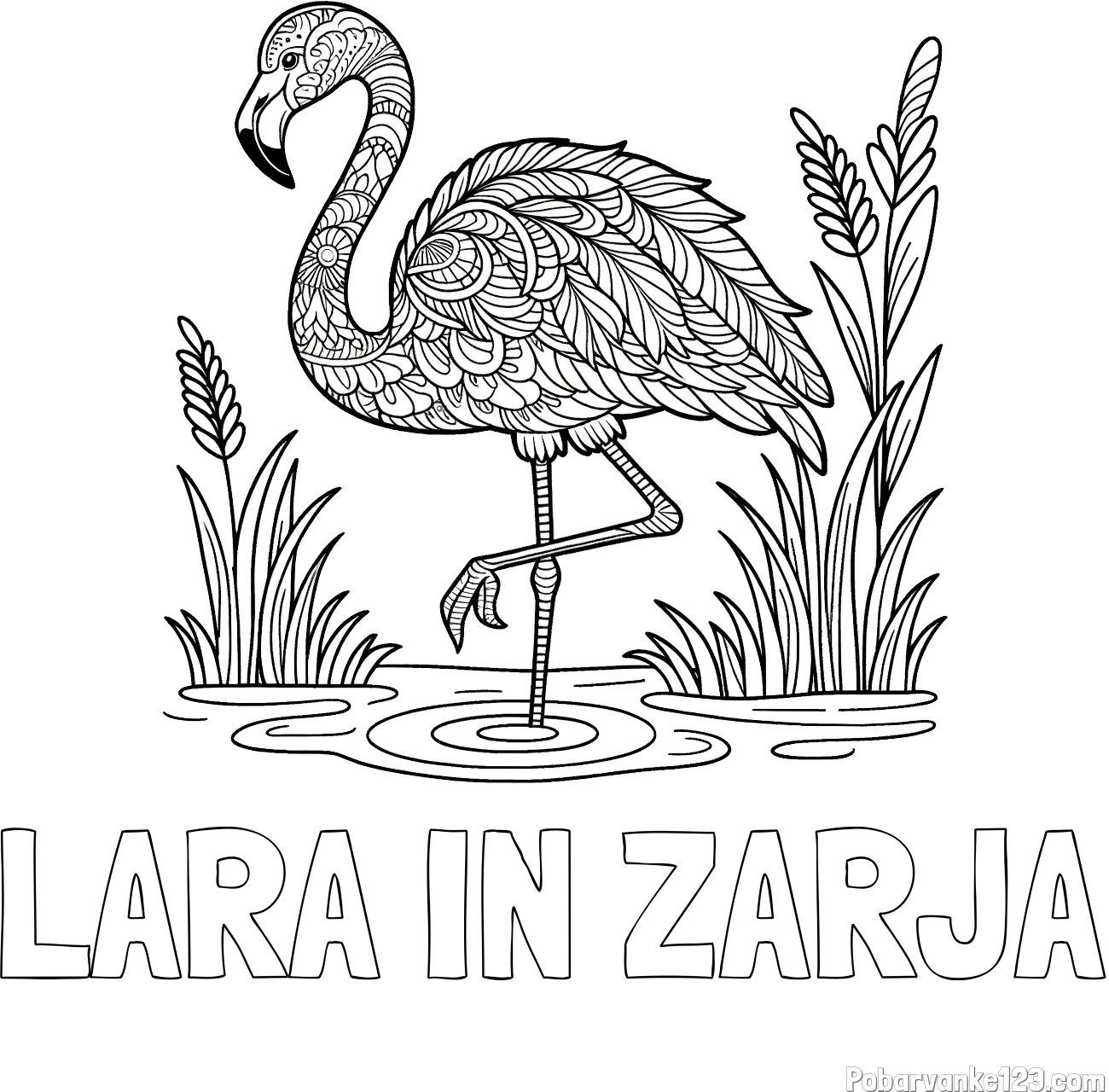 Pobarvanka imena LARA IN ZARJA in pobarvanka flaminga z abstraktnimi vzorci