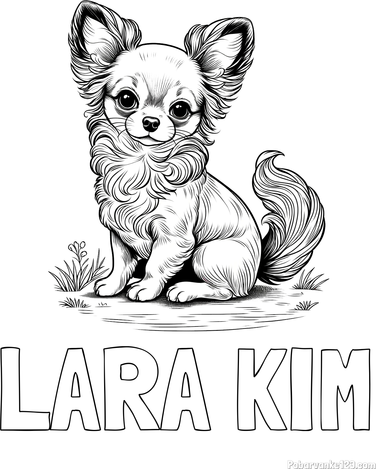 Pobarvanka imena LARA KIM in pobarvanka ljubke čivave