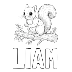 Online izdelana pobarvanka - Pobarvanka imena LIAM in pobarvanka veverice na veji