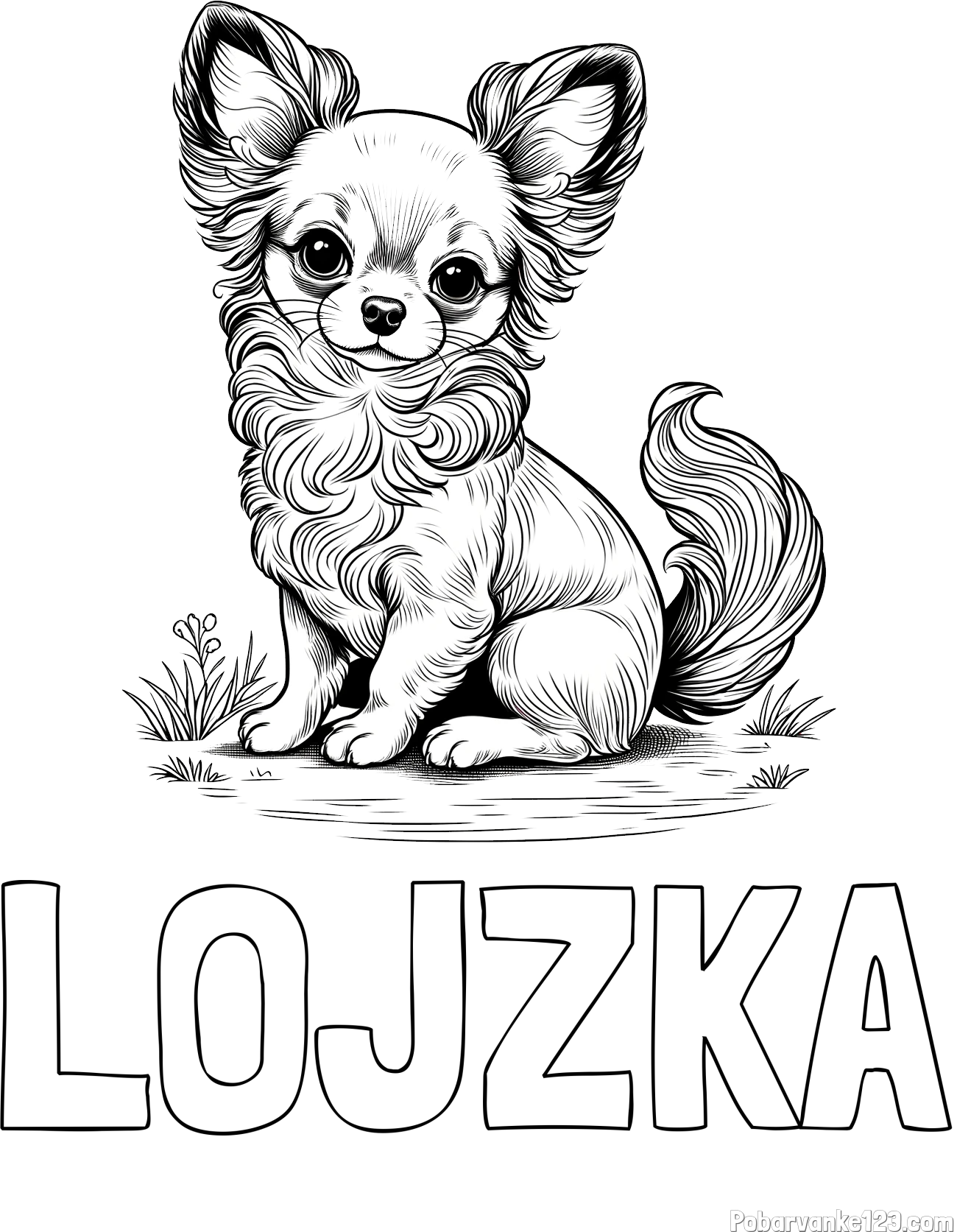 Pobarvanka imena LOJZKA in pobarvanka ljubke čivave