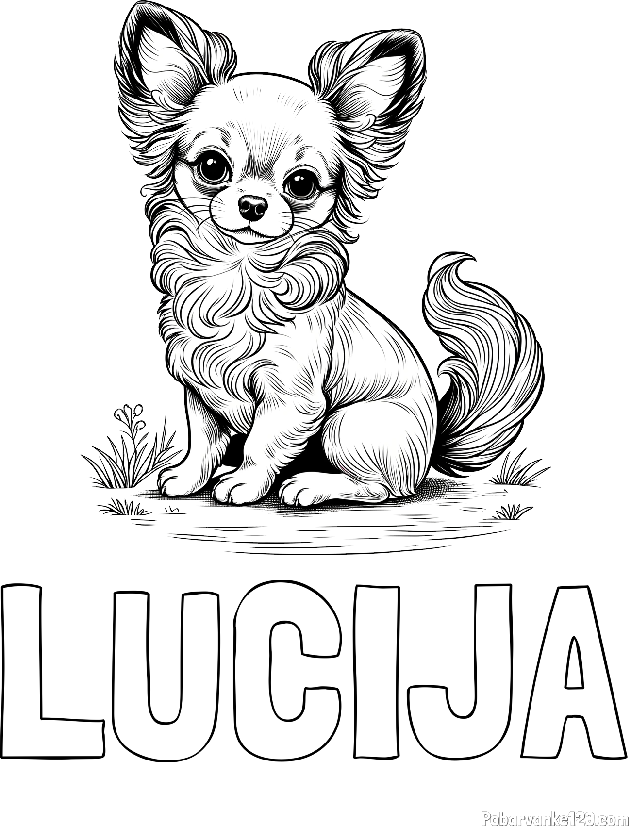 Pobarvanka imena LUCIJA in pobarvanka ljubke čivave