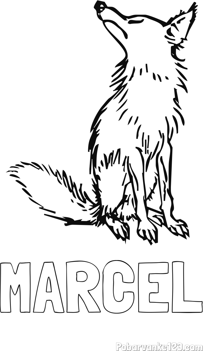 Pobarvanka imena MARCEL in pobarvanka stare lisice
