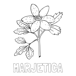 Online izdelana pobarvanka - Pobarvanka imena MARJETICA in pobarvanka marjetice