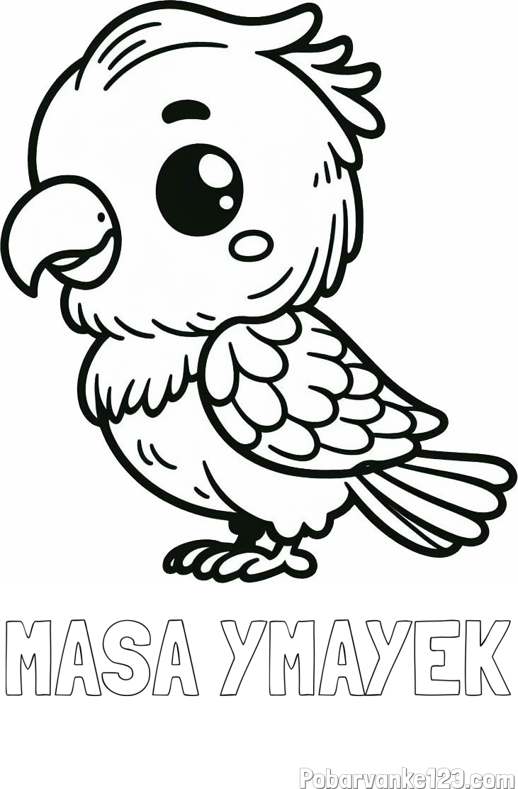 Pobarvanka imena MASA YMAYEK in pobarvanka ljubkega papagaja
