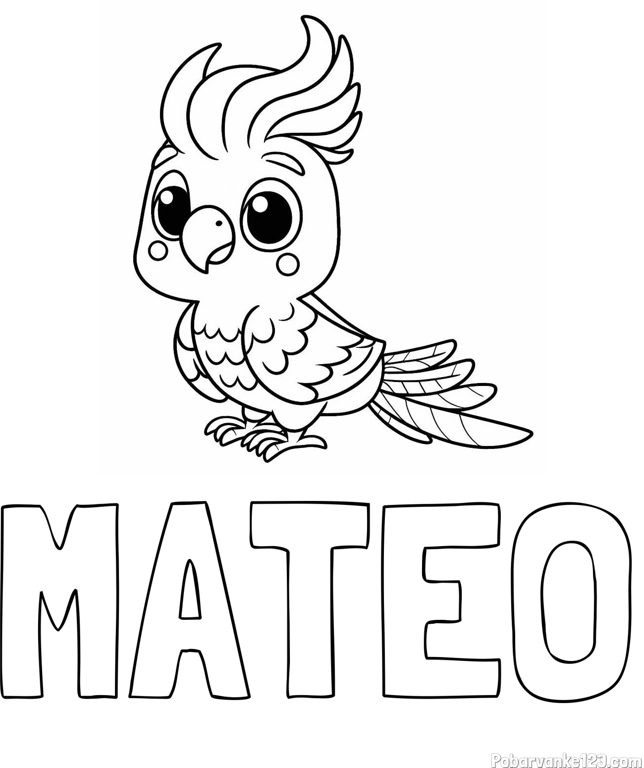 Pobarvanka imena MATEO in pobarvanka ljubke papige