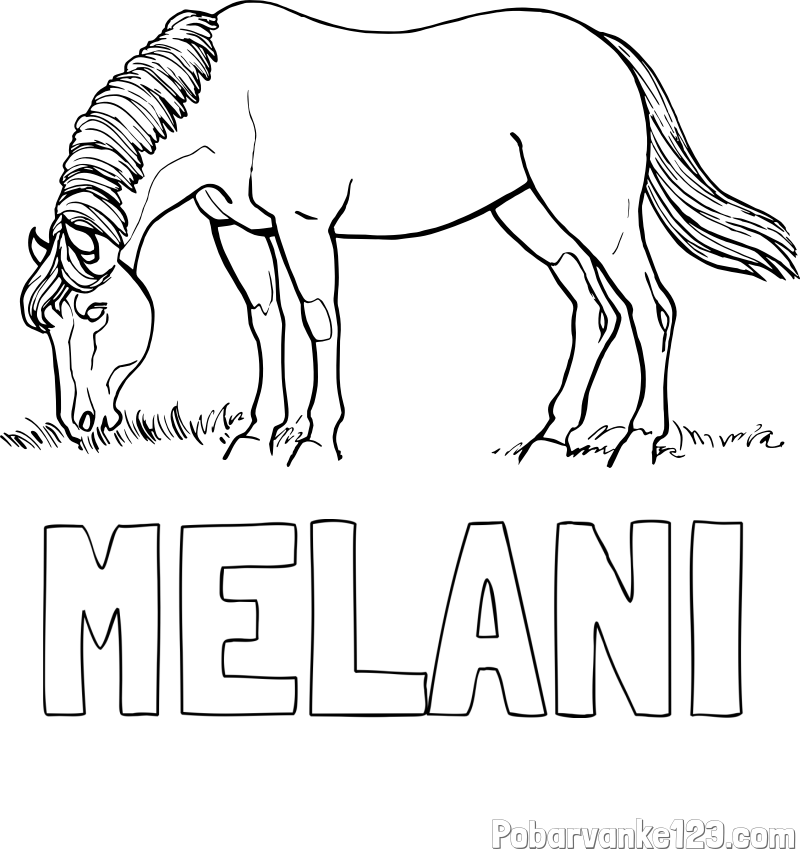Pobarvanka imena MELANI in pobarvanka konja med pašo