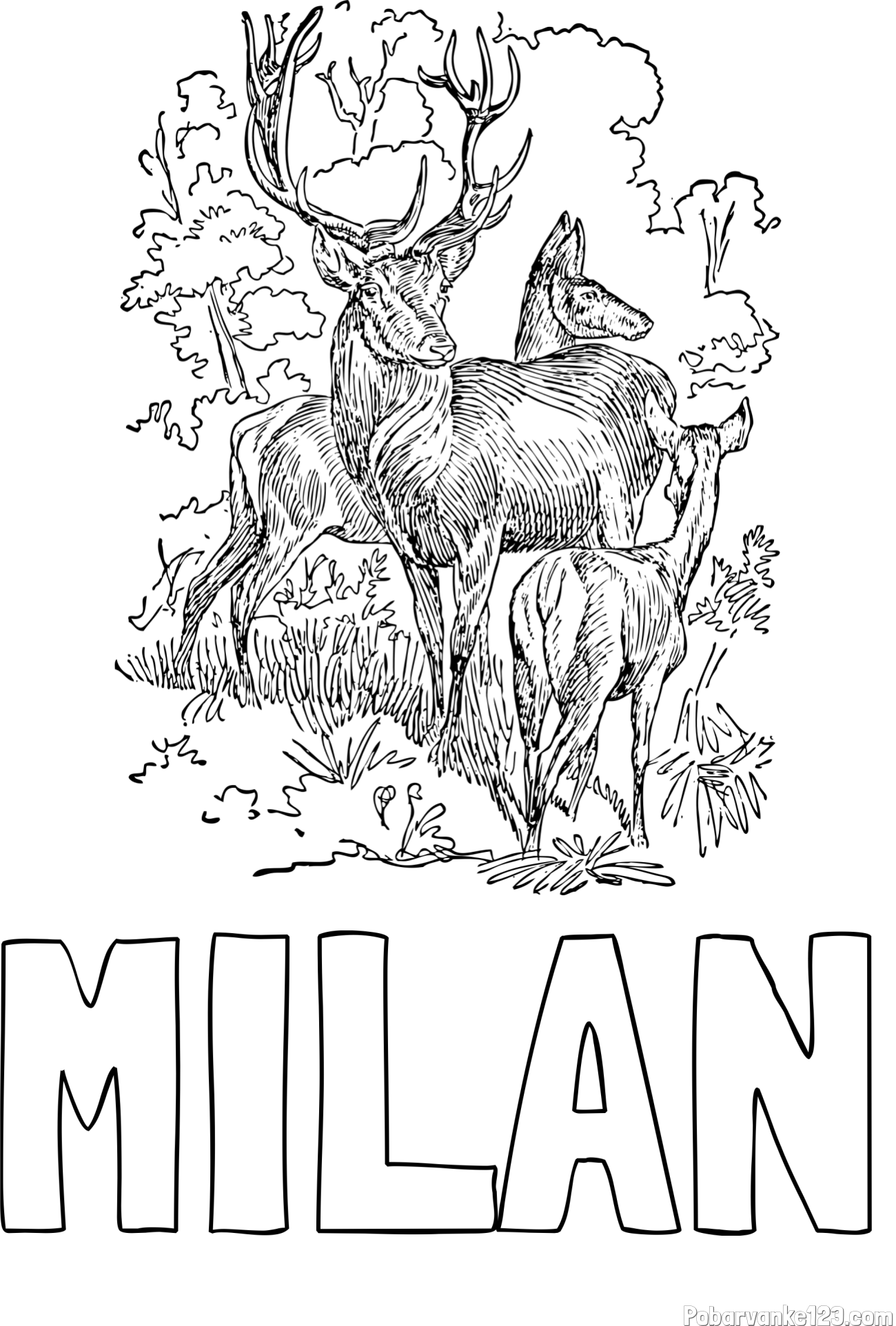 Pobarvanka imena MILAN in pobarvanka jelena, srne ter mladička