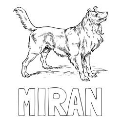 Online izdelana pobarvanka - Pobarvanka imena MIRAN in pobarvanka prikupnega in prijaznega kužka