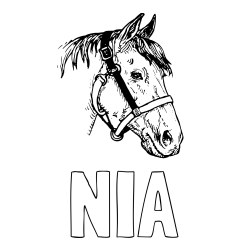 Online izdelana pobarvanka - Pobarvanka imena NIA in konjska glava