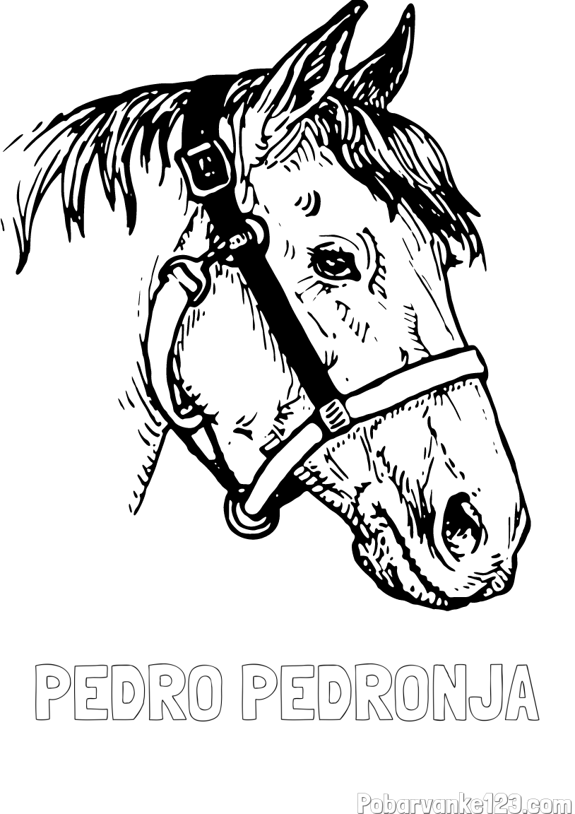 Pobarvanka imena PEDRO PEDRONJA in konjska glava