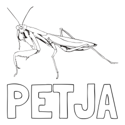 Online izdelana pobarvanka - Pobarvanka imena PETJA in pobarvanka bogomolke