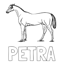 Online izdelana pobarvanka - Pobarvanka imena PETRA in pobarvanka konja