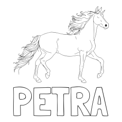 Online izdelana pobarvanka - Pobarvanka imena PETRA in samorog