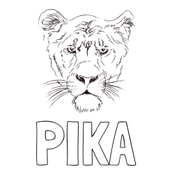 Online izdelana pobarvanka - Pobarvanka imena PIKA in pobarvanka levinje