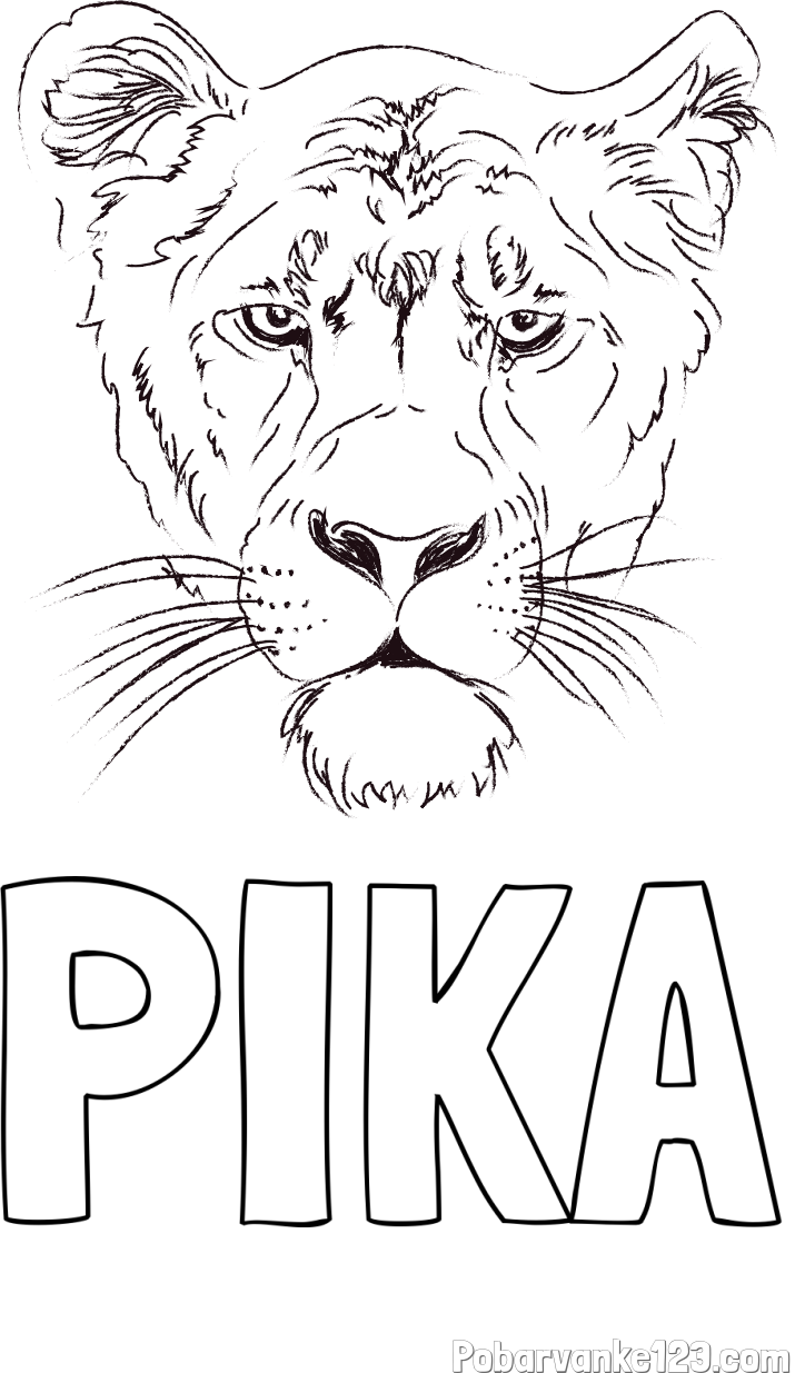 Pobarvanka imena PIKA in pobarvanka levinje