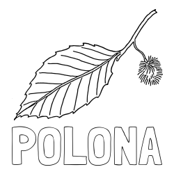 Online izdelana pobarvanka - Pobarvanka imena POLONA in pobarvanka kostanja