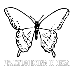 Pobarvanka imena PRJATLCI BRINA IN NEŽA in starejša in preprosta pobarvanka metulja