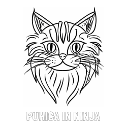 Online izdelana pobarvanka - Pobarvanka imena PUHICA IN NINJA in pobarvanka mačje glave