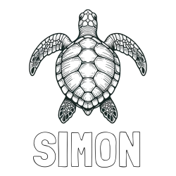 Online izdelana pobarvanka - Pobarvanka imena SIMON in enostavna pobarvanka želve
