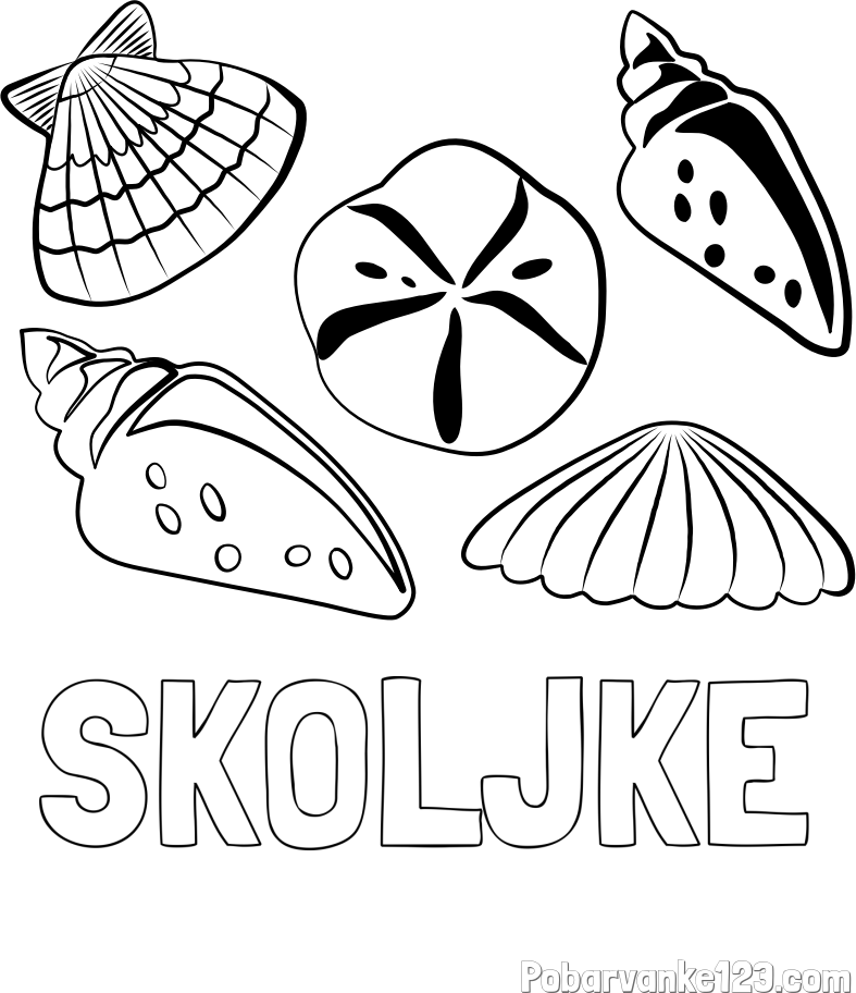 Pobarvanka imena ŠKOLJKE in pobarvanka različnih školjk