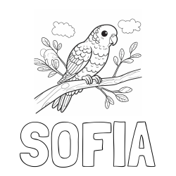 Online izdelana pobarvanka - Pobarvanka imena SOFIA in pobarvanka ljubkega kanarčka na veji