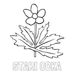 Online izdelana pobarvanka - Pobarvanka imena STARI OČKA in pobarvanka regrat