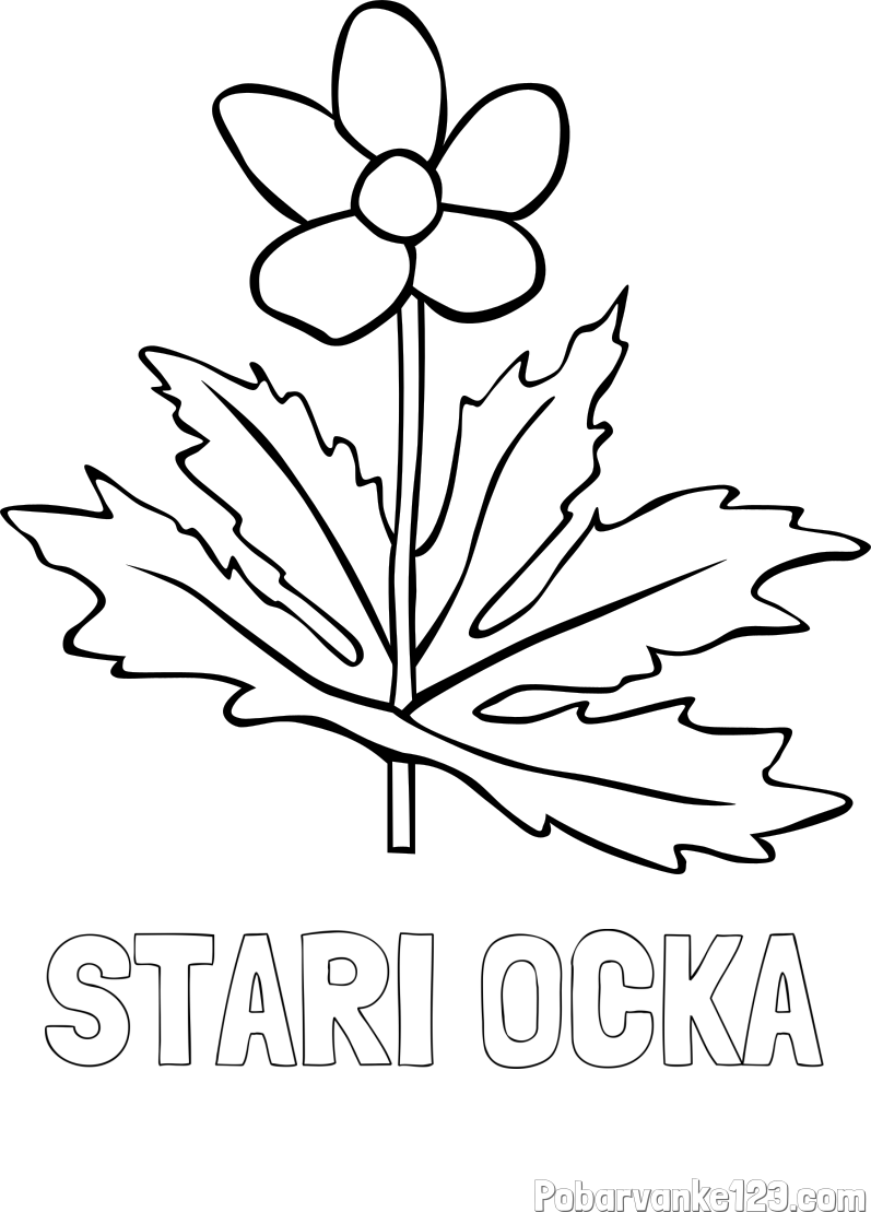 Pobarvanka imena STARI OČKA in pobarvanka regrat