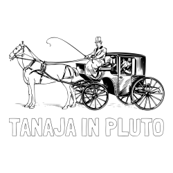 Online izdelana pobarvanka - Pobarvanka imena TANAJA IN PLUTO in pobarvanka konja in kočije