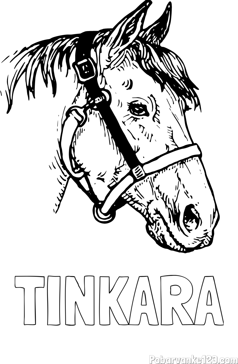 Pobarvanka imena TINKARA in konjska glava