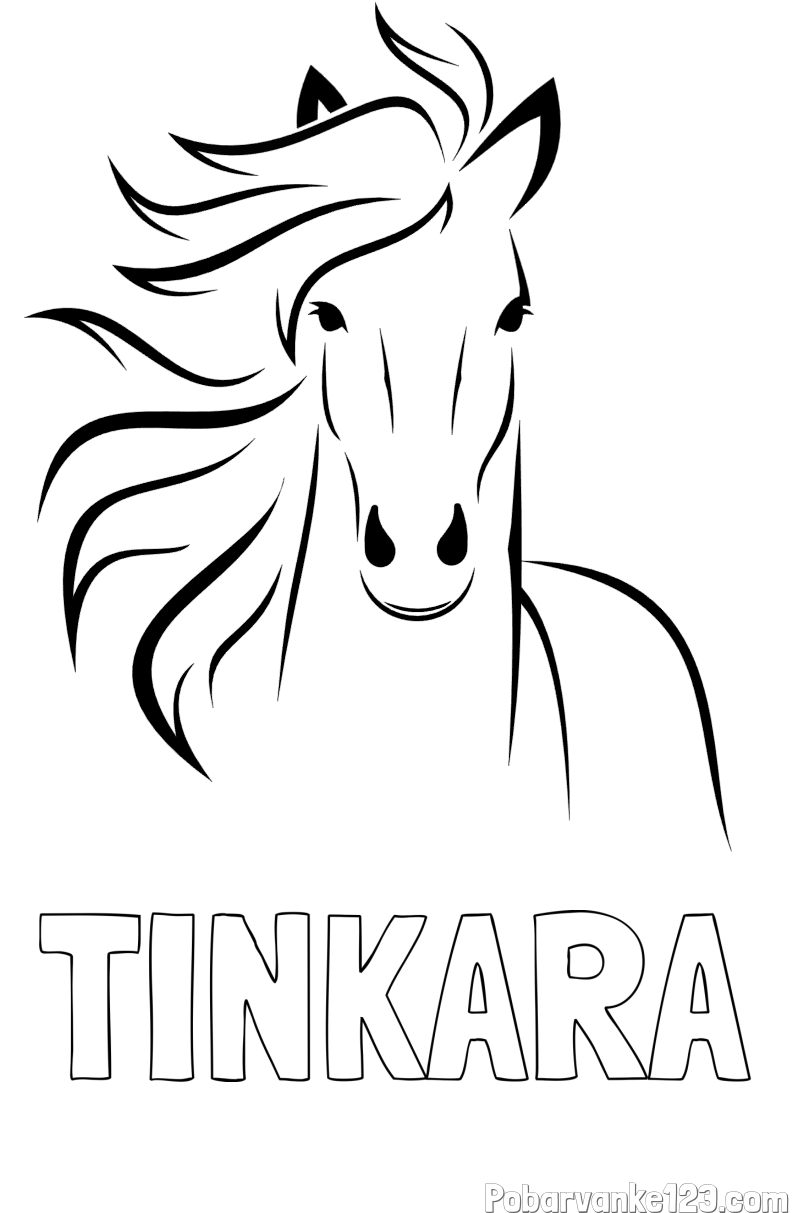 Pobarvanka imena TINKARA in lepa pobarvanka konja
