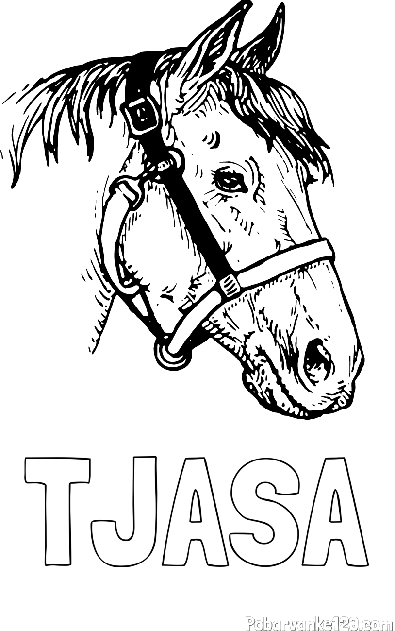Pobarvanka imena TJAŠA in konjska glava