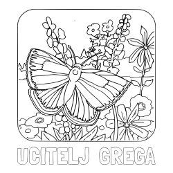 Online izdelana pobarvanka - Pobarvanka imena UČITELJ  GREGA in pobarvanka metulja v naravi