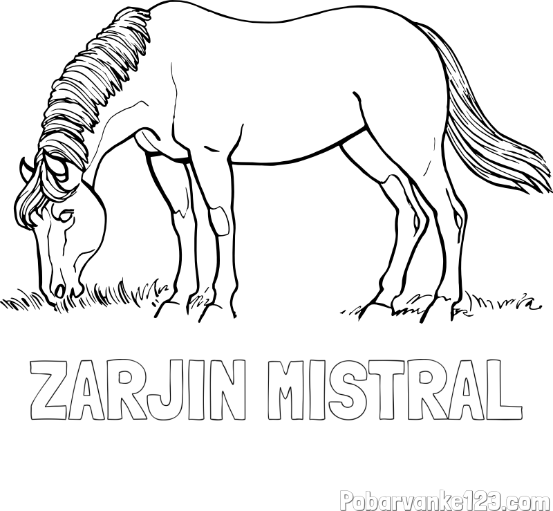 Pobarvanka imena ZARJIN MISTRAL in pobarvanka konja med pašo