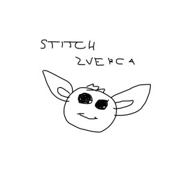 stitch