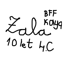 zala predstavitev